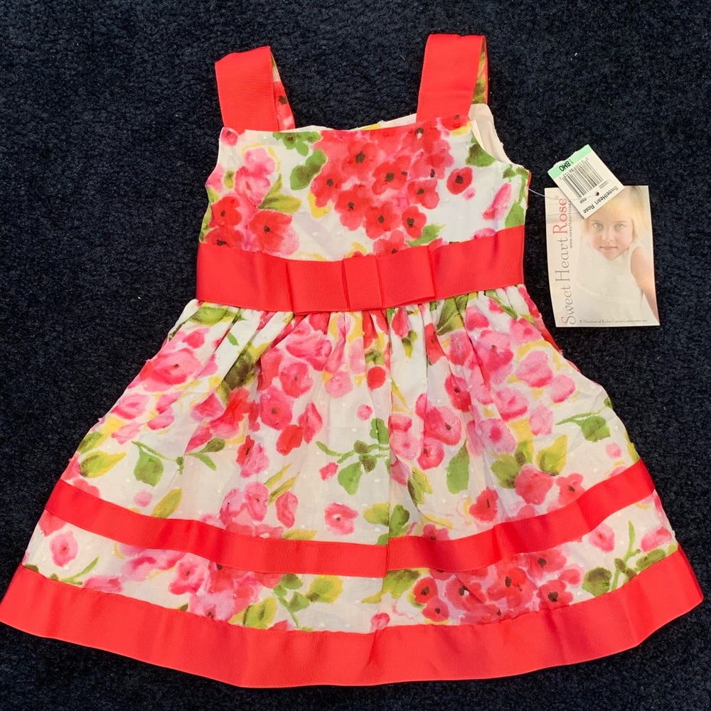 Sweet Heart Rose Dress NWT
